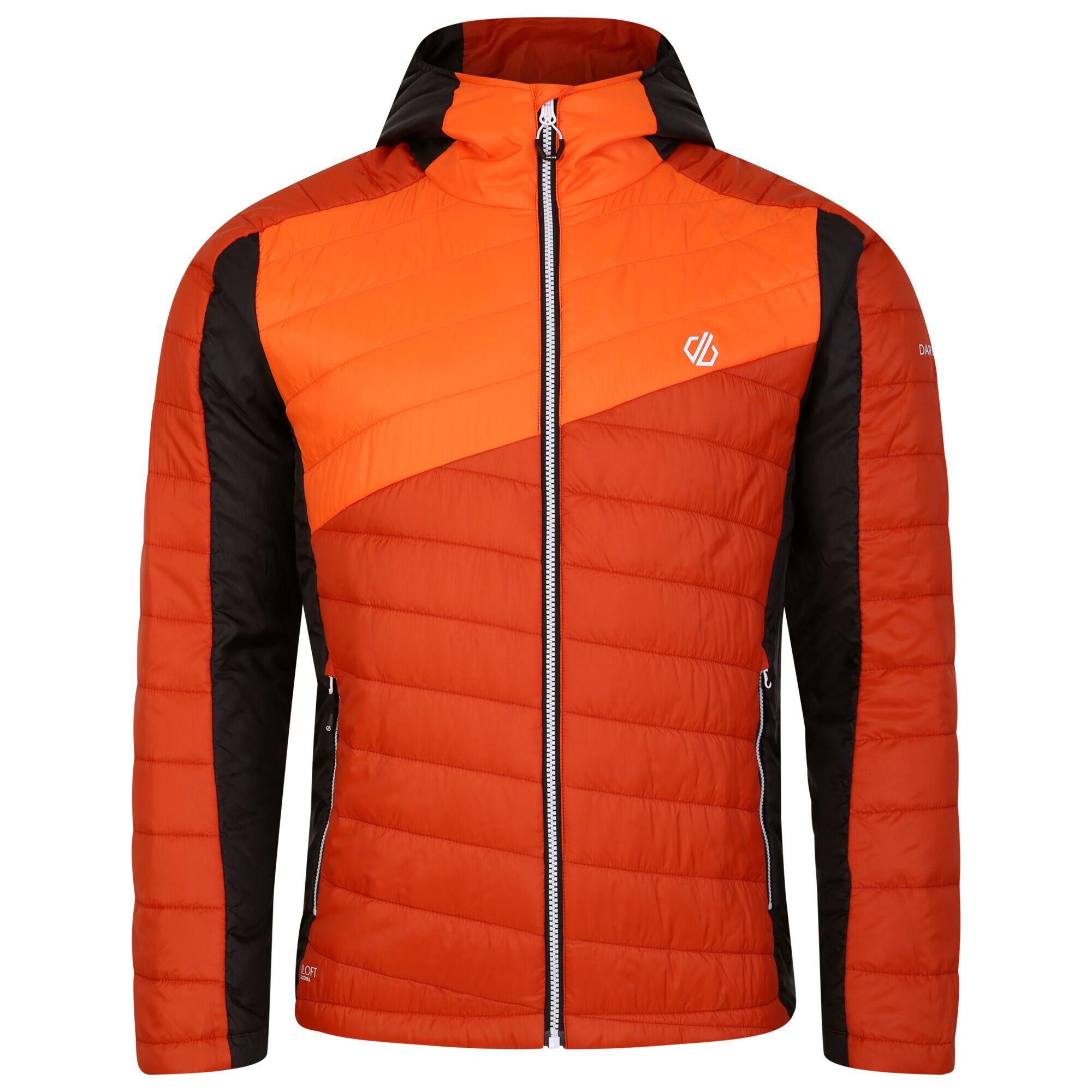 DARE 2B Heren Touring gewatteerd jack (Rooibosthee/Puffins sinaasappel)