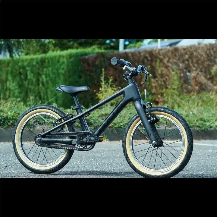 VEE Tire Co SPEEDSTER 20 X 2.0  MPC Draadkraal Skinwall 3/3