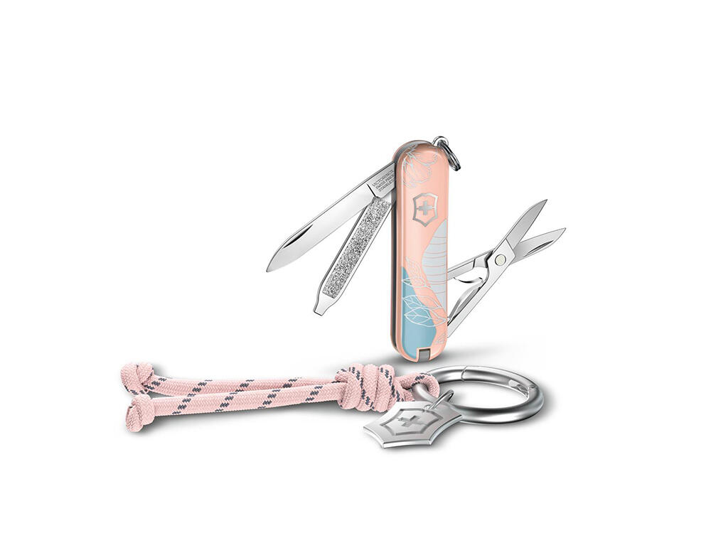VICTORINOX picture