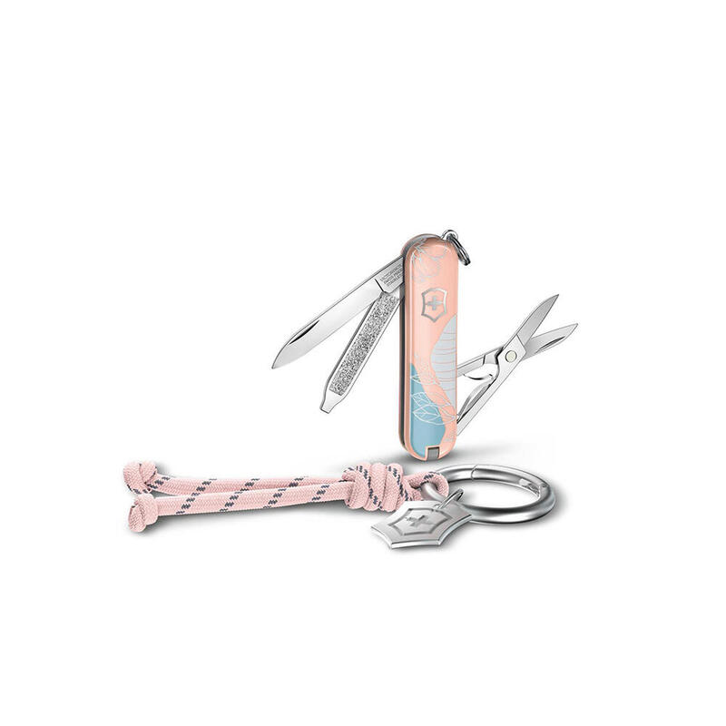 fccc2196-f3e4-4d3a-8e40-54c5f2e5b4cf_c255c26