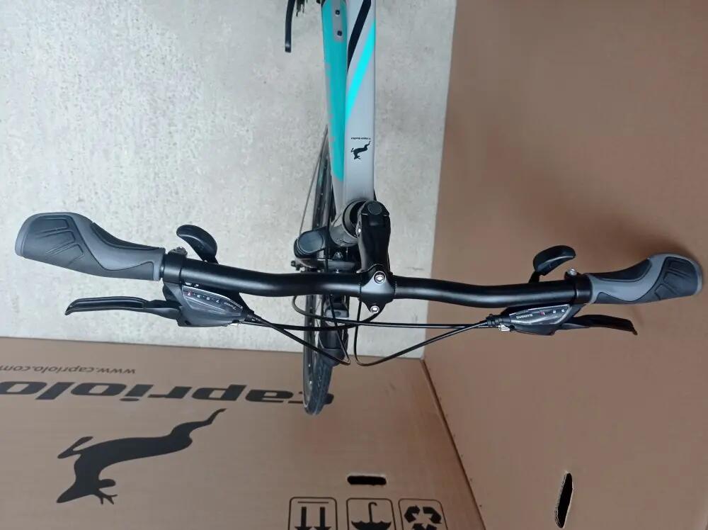 Capriolo Roadster Man 1.0 férfi trekking kerékpár 20coll szürke 4/4