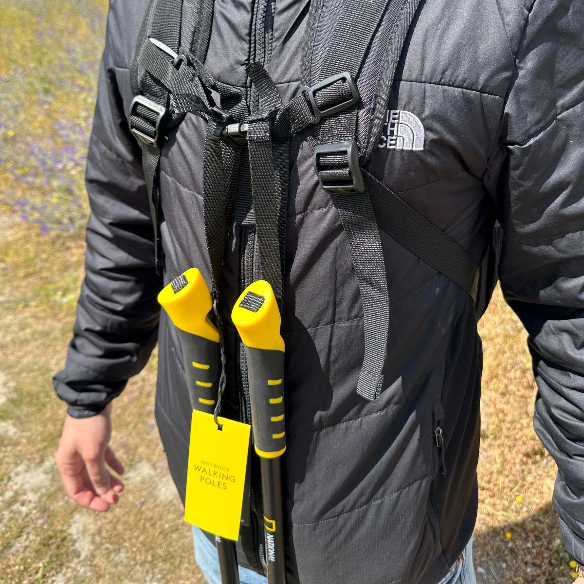 KIT TREKKING Prismático 8x42 + Mochila + Linterna + 1 Bastón+ Brújula NAT GEO 5/7