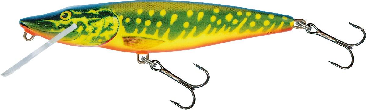SALMO picture