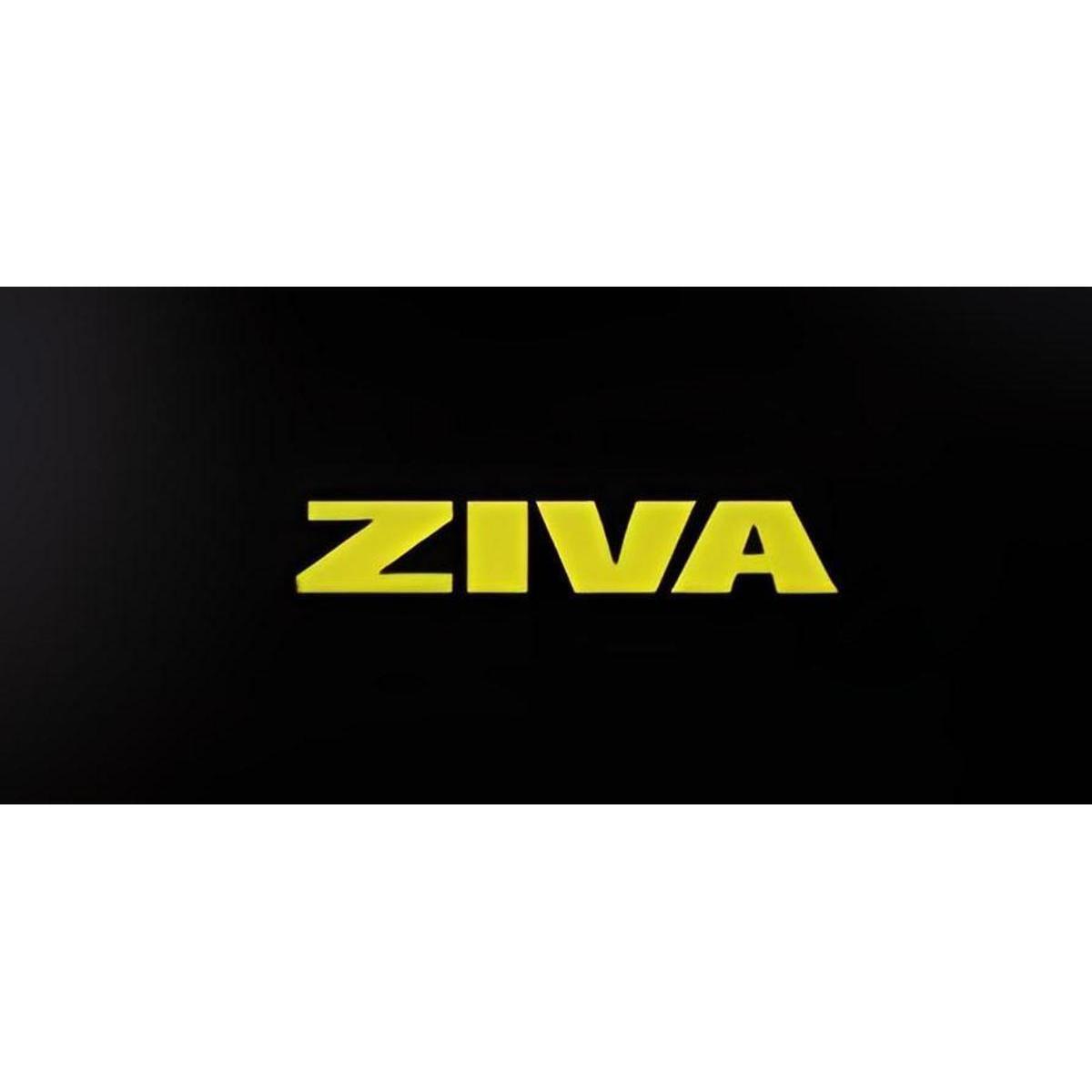 Pelota pilates ZIVA essential 20cm 3/3