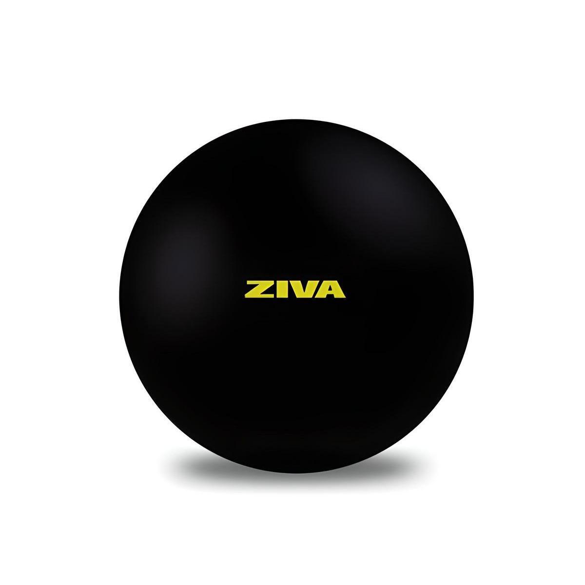 ZIVA picture