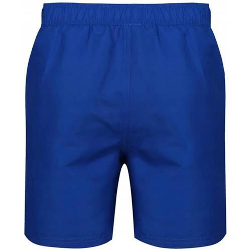 Spodnie treningowe męskie Reebok Swim Short Yale 2/2