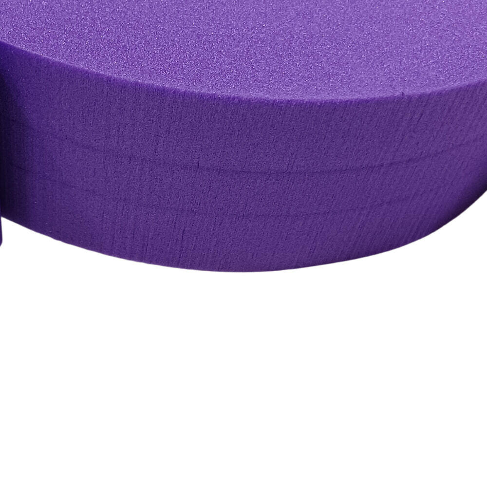 Juego de Natación Leisis Flotante de Dragón Morado 43x52,5x8 cm 2/3