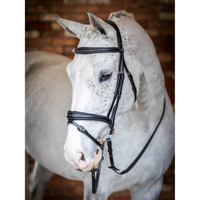 Bridon équitation pour cheval LeMieux Competition Flash