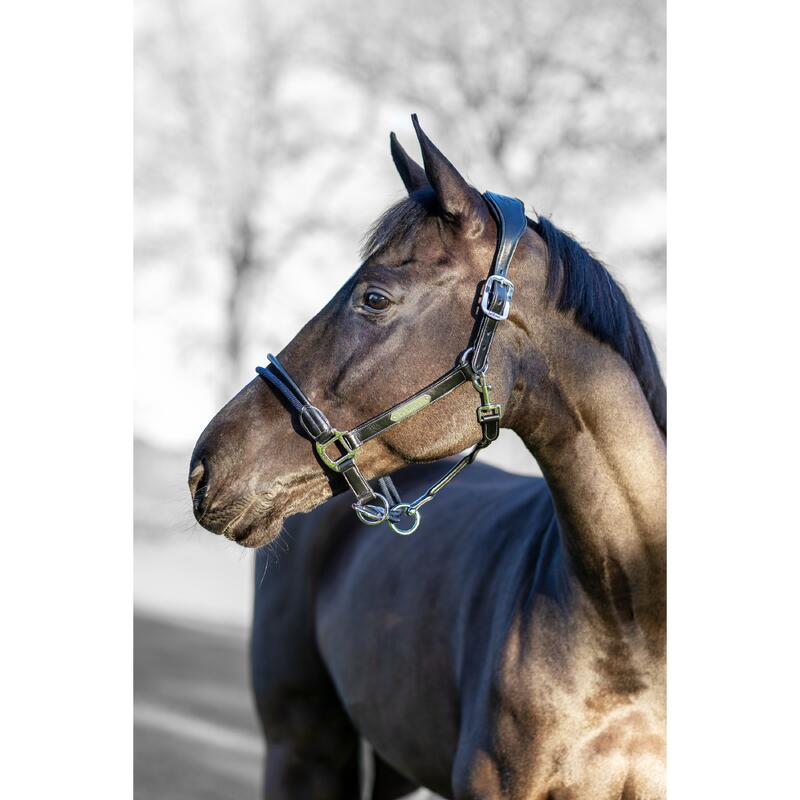 Paardrijden - Unisex -  Black - -rope Control Headcollar