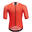 Pánský cyklistický dres Legno
