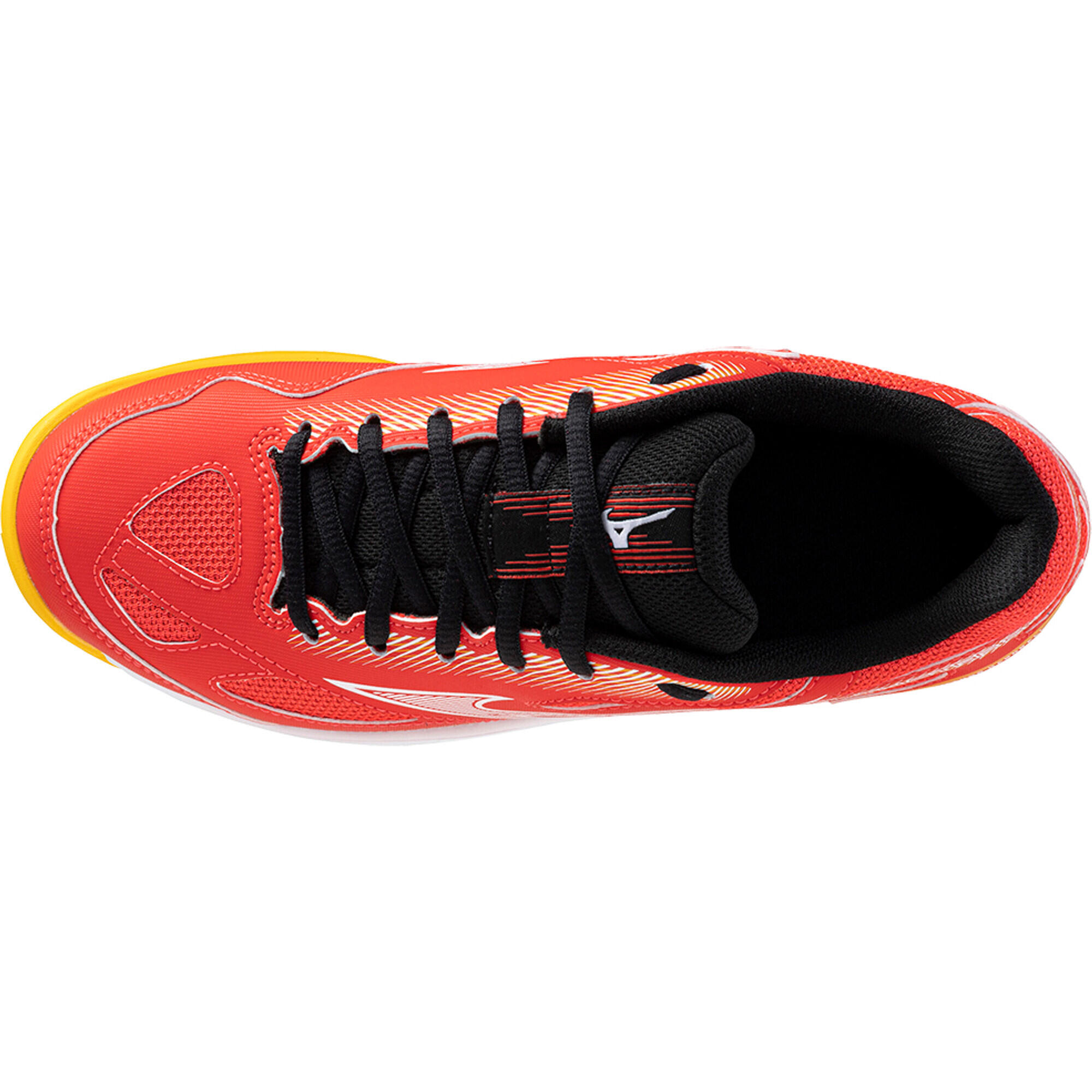 Chaussures indoor Mizuno Stealth Star 5/6