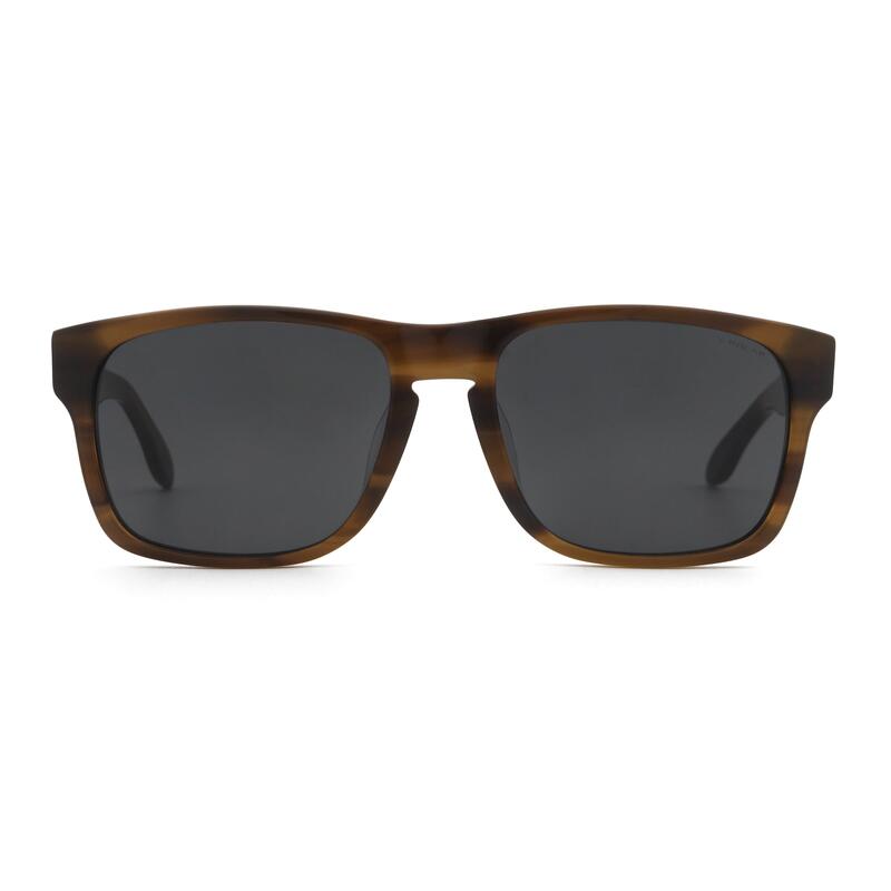 Gafas de Sol Uller Backside Brown Tortoise /