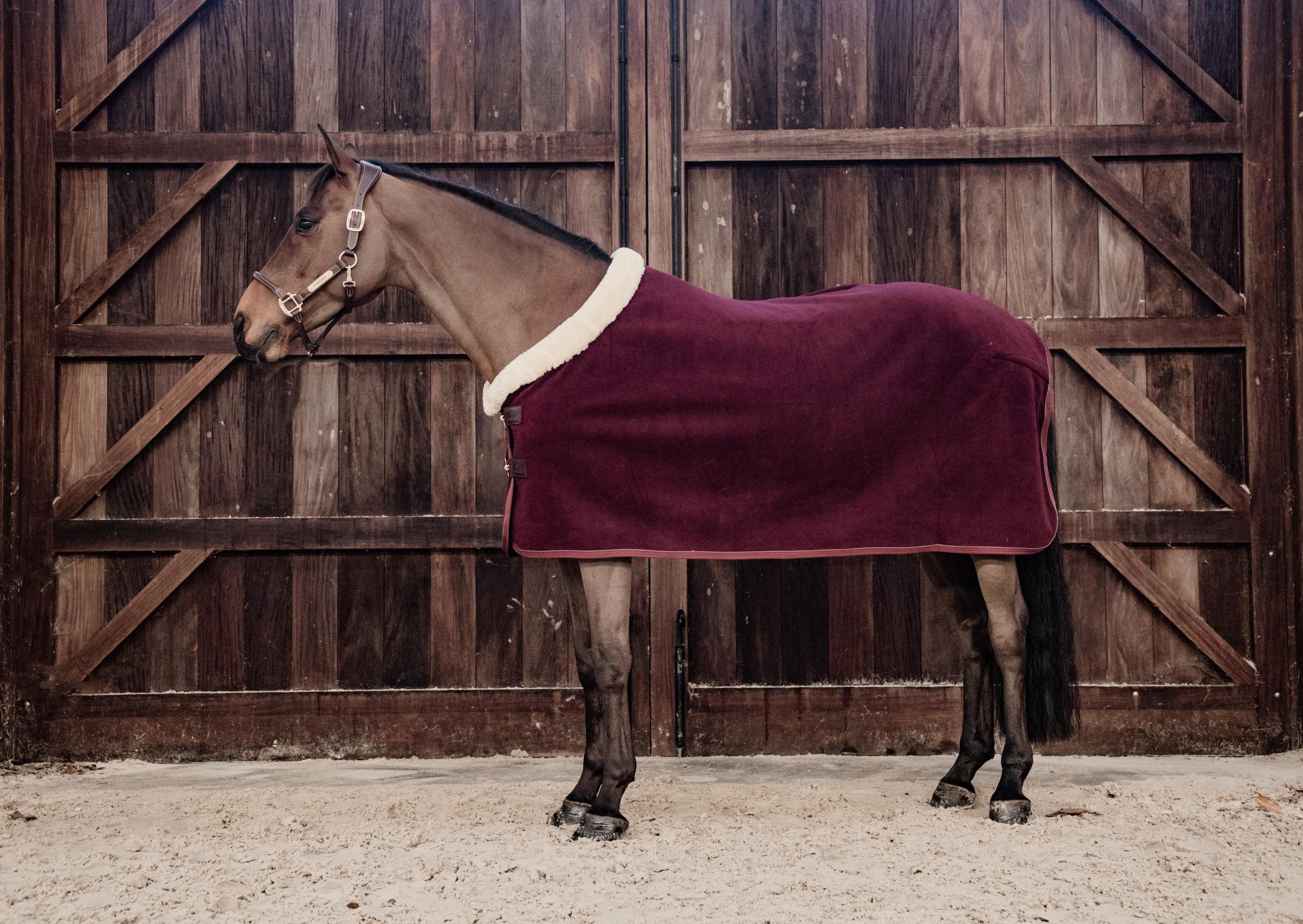 rosso / bordeaux / rosso carminio