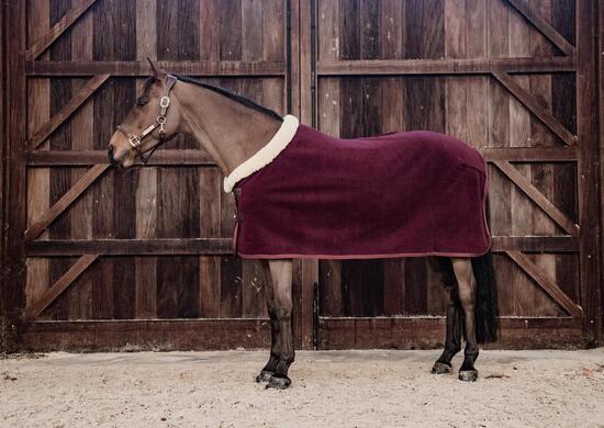 Chemise séchante show fleece 'heavy' bordeaux 130-6'0
