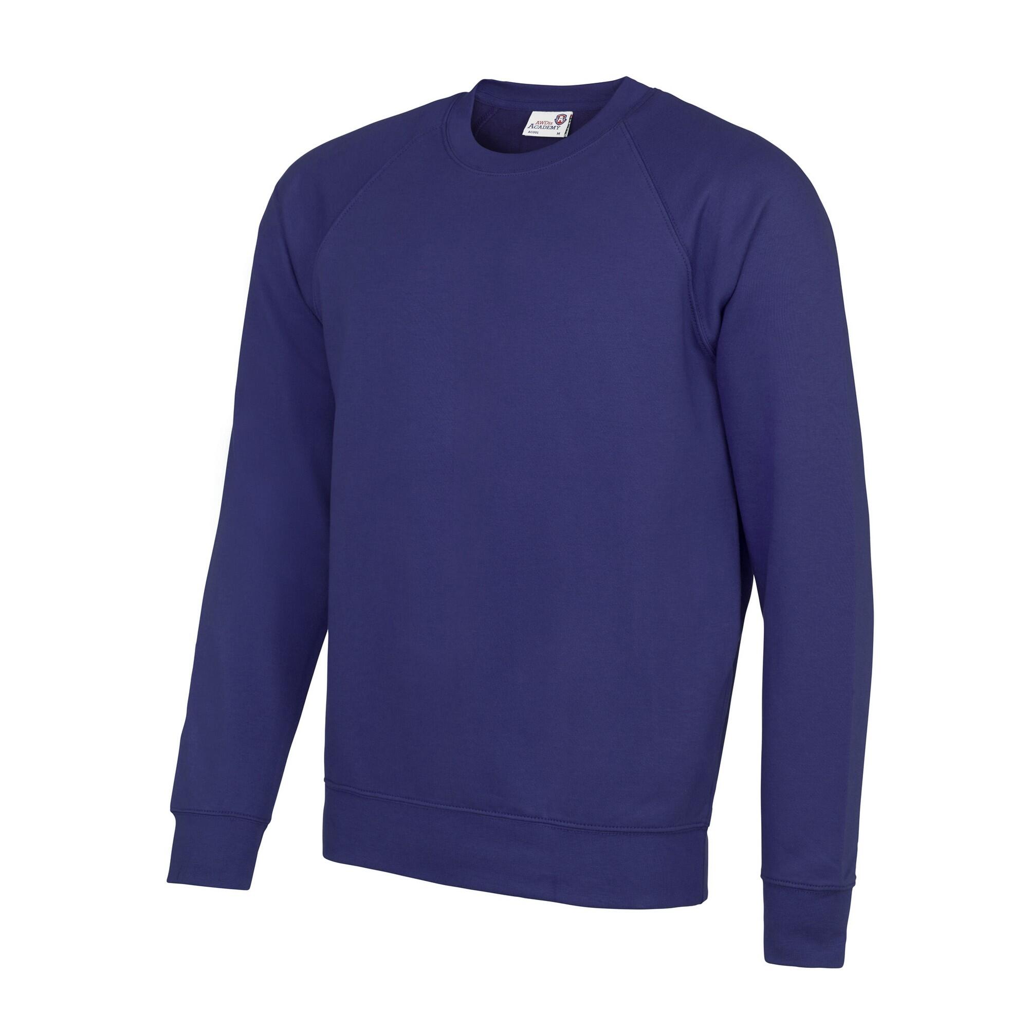 AWDis Academy Mens Crew Neck Raglan Sweatshirt