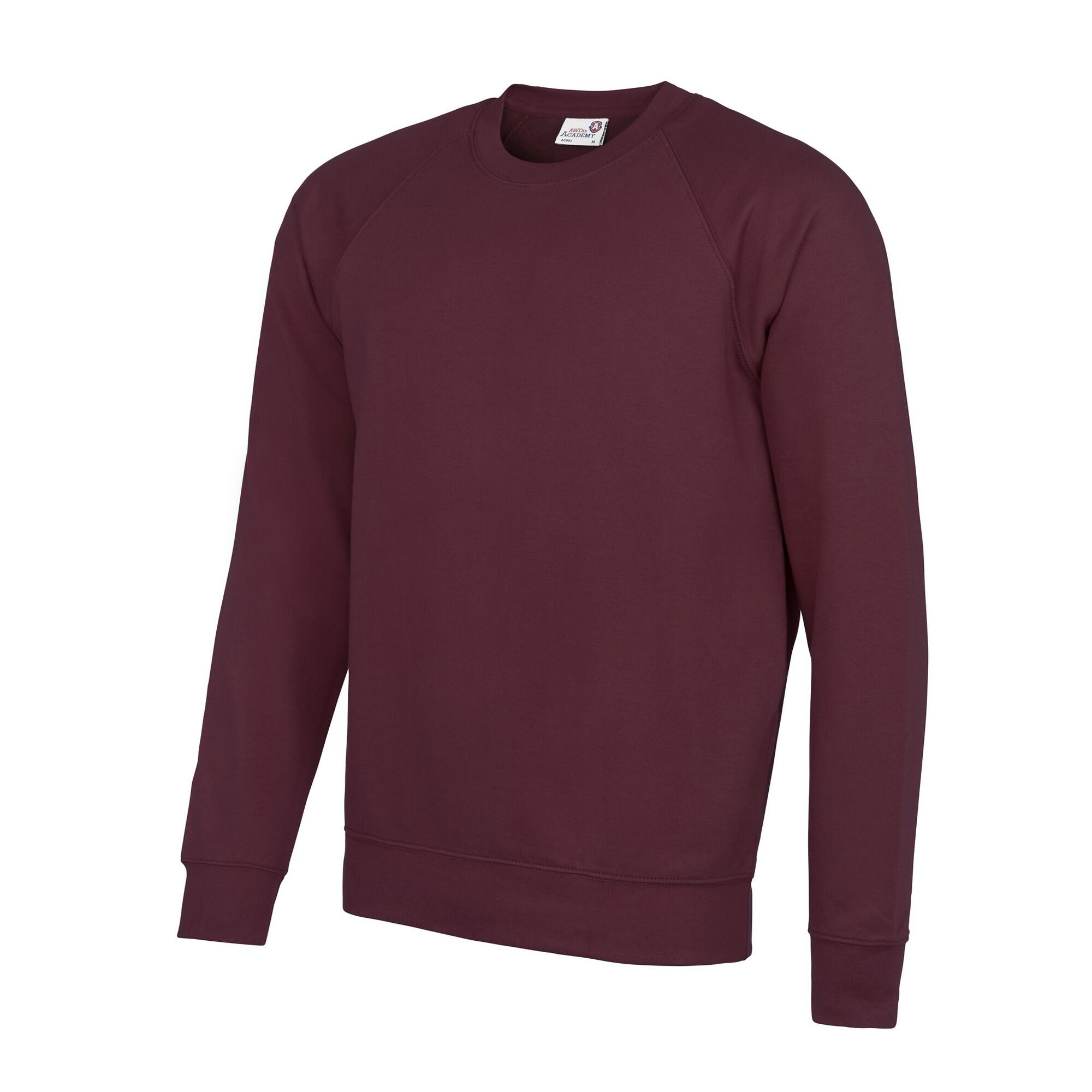 AWDis Academy Mens Crew Neck Raglan Sweatshirt