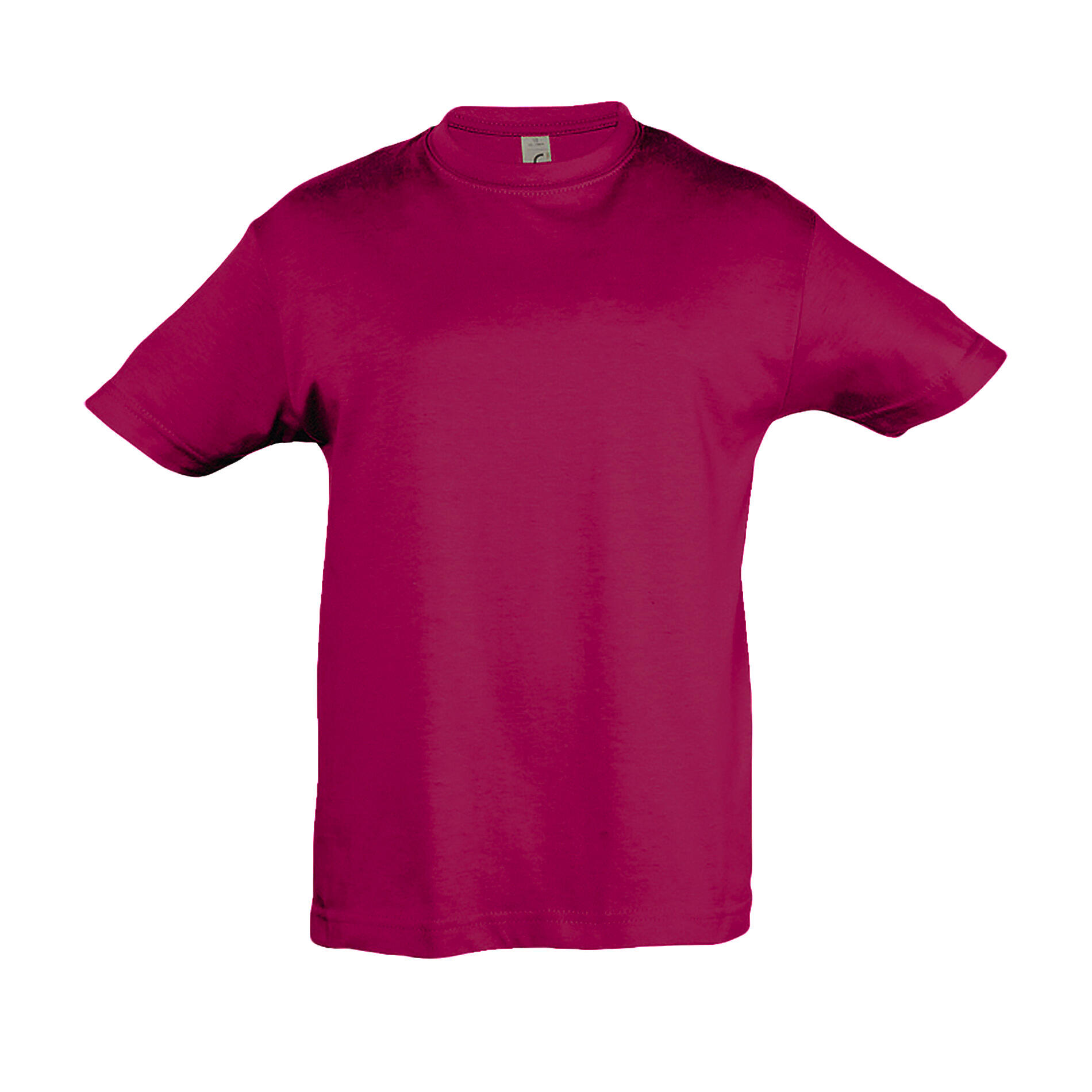 SOLS Kids Regent Short Sleeve T-Shirt