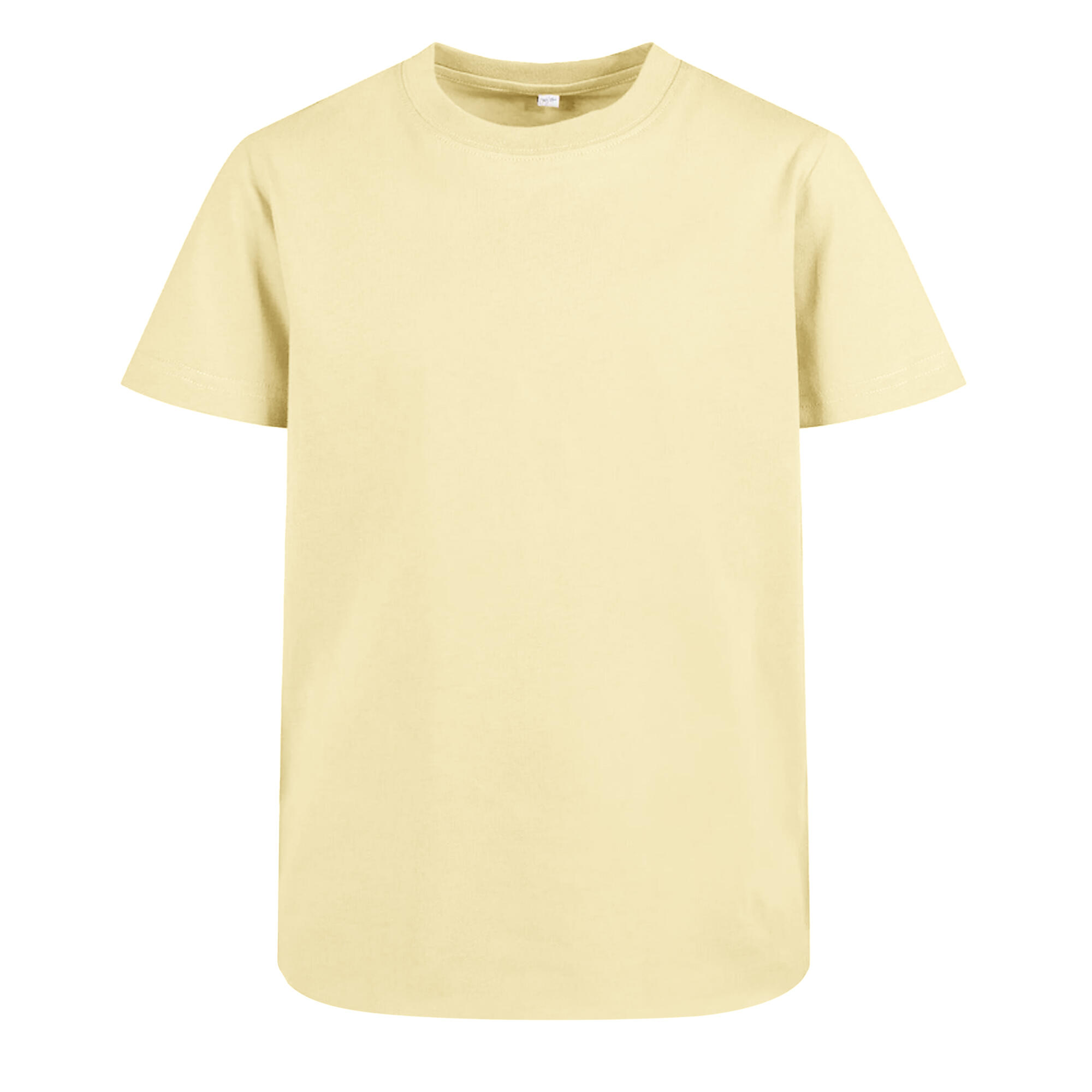 Build Your Brand Childrens/Kids Basic 2.0 T-Shirt