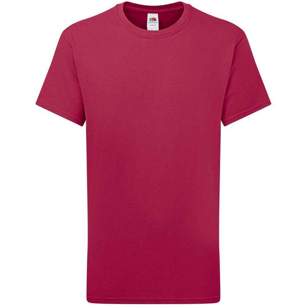 Fruit of the Loom Childrens/Kids Iconic 195 Premium T-Shirt