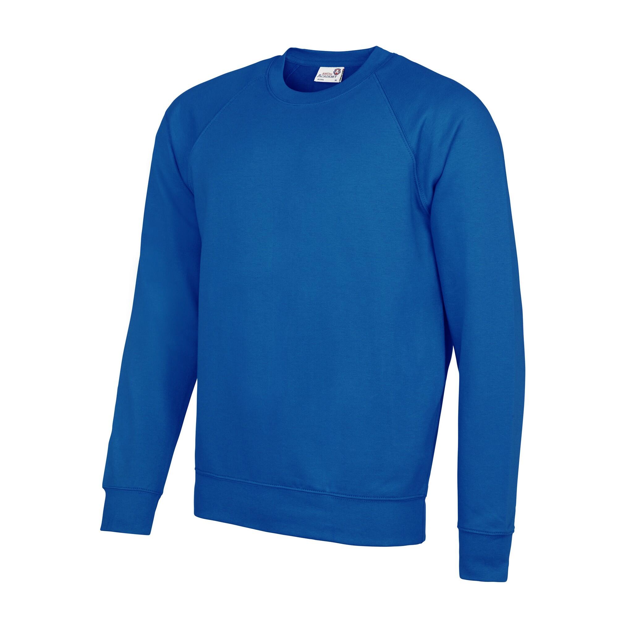 AWDis Academy Mens Crew Neck Raglan Sweatshirt