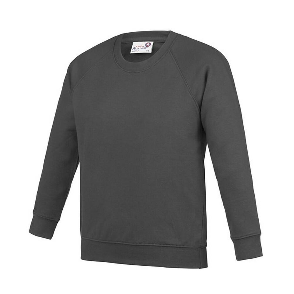 Awdis Childrens/Kids Academy Raglan Sweatshirt