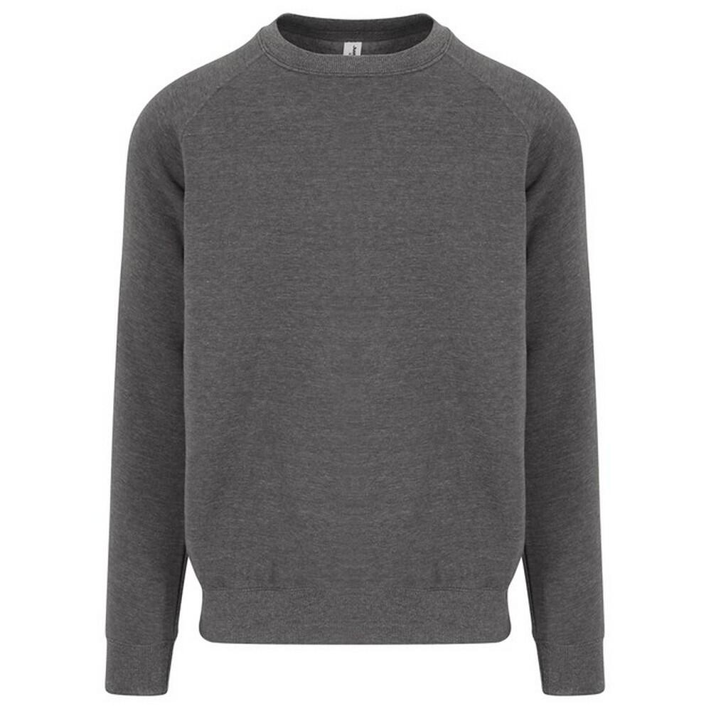 Awdis Mens Graduate Heavyweight Sweatshirt