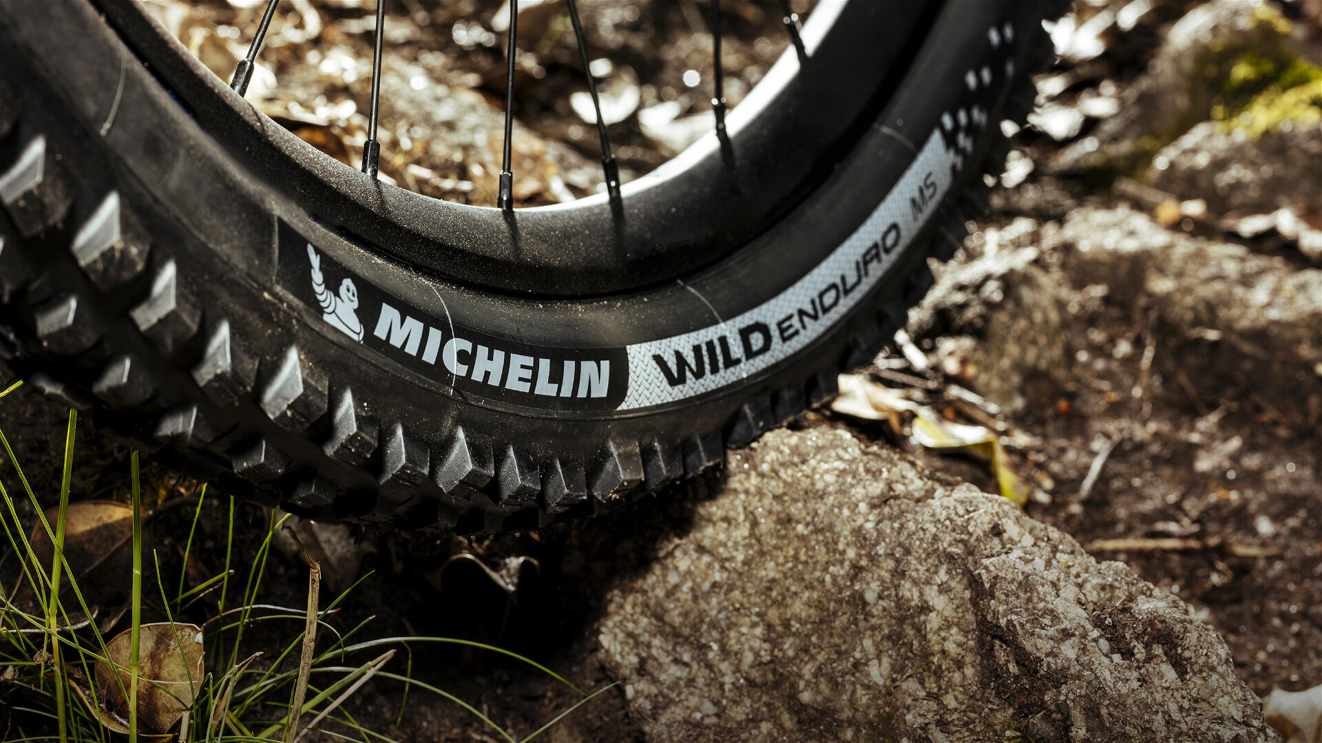 Fahrradreifen Wild Enduro MH Racing Line (Dark Label)  29x2.40" 61-622 3/4