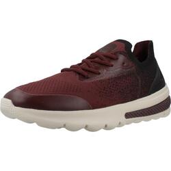 Zapatillas hombre Geox U Spherica Actif Burdeos