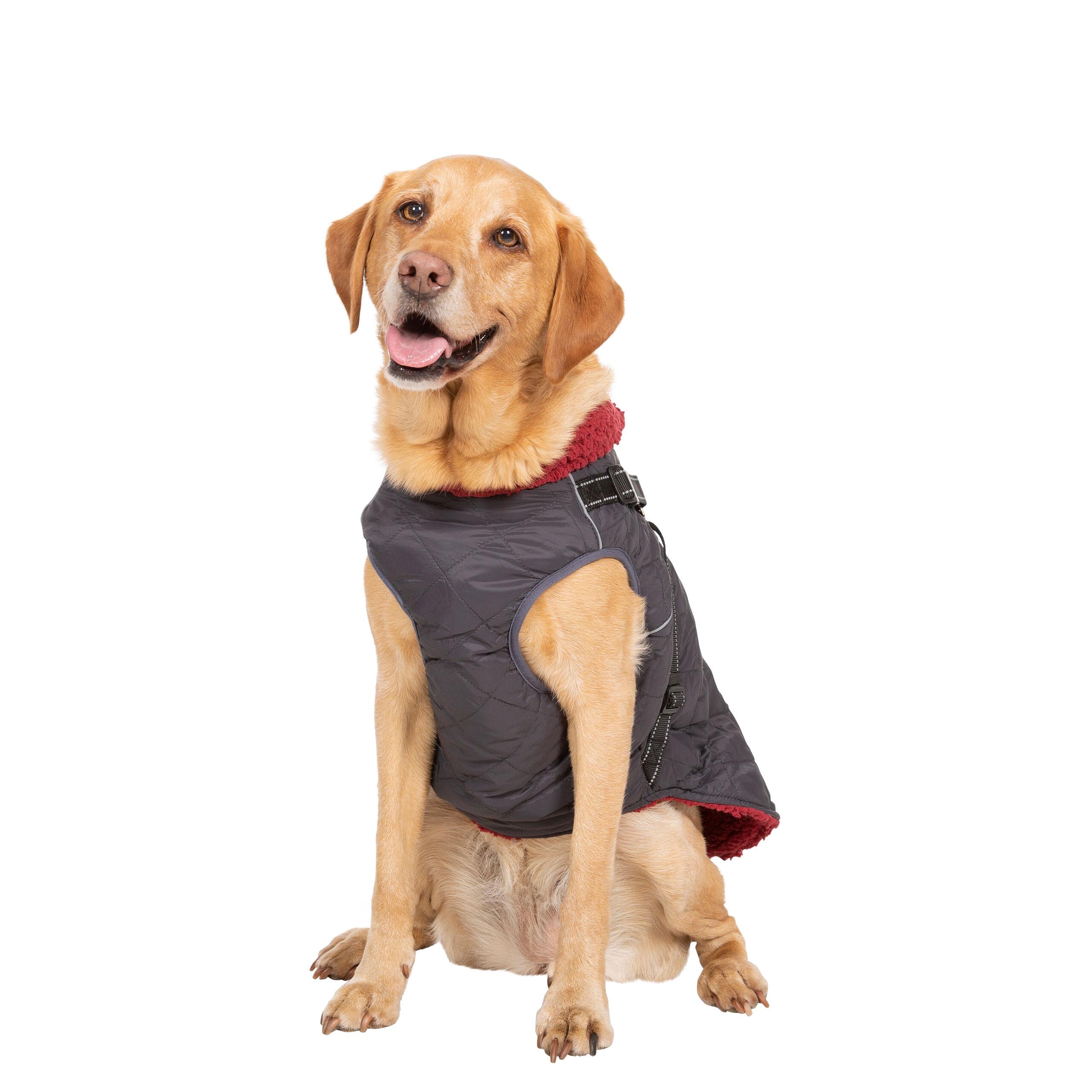 Dog Jacket Harness 2 in 1 Harness with Reflective Detailing Hercules 4/5