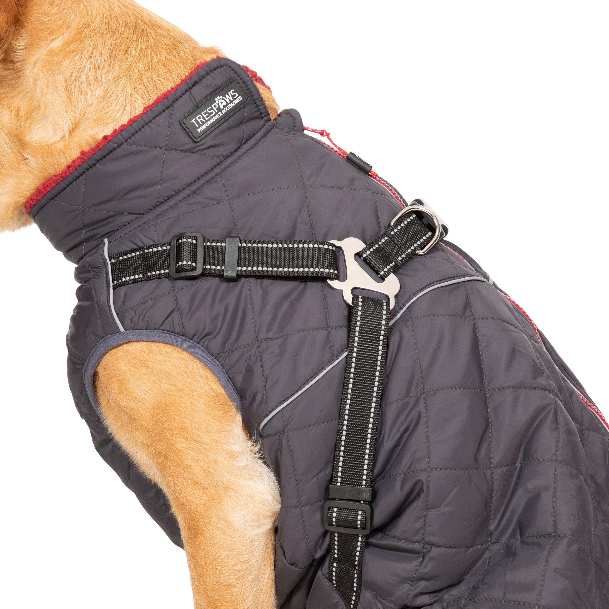 Dog Jacket Harness 2 in 1 Harness with Reflective Detailing Hercules 5/5