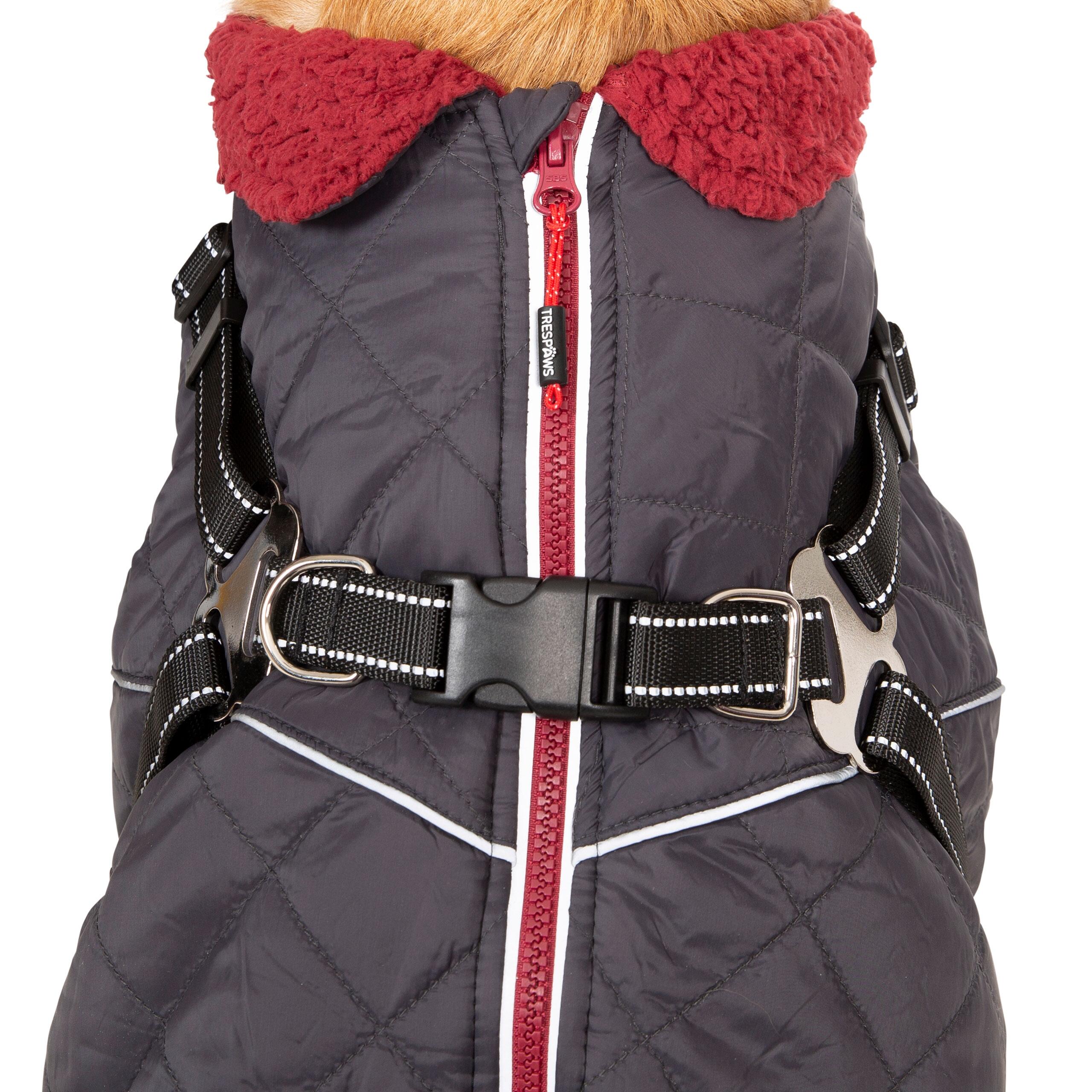Dog Jacket Harness 2 in 1 Harness with Reflective Detailing Hercules 3/5
