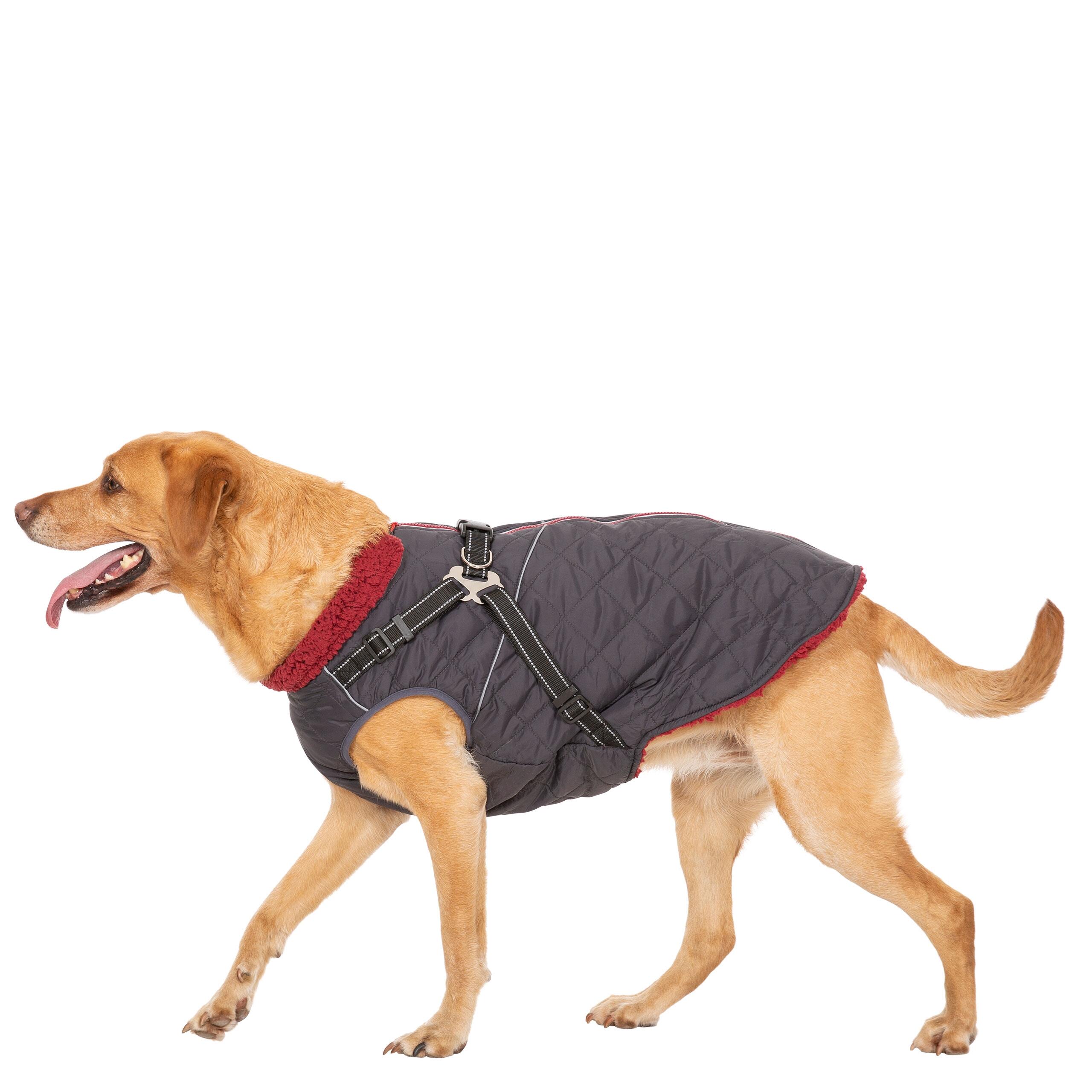 Dog Jacket Harness 2 in 1 Harness with Reflective Detailing Hercules 2/5