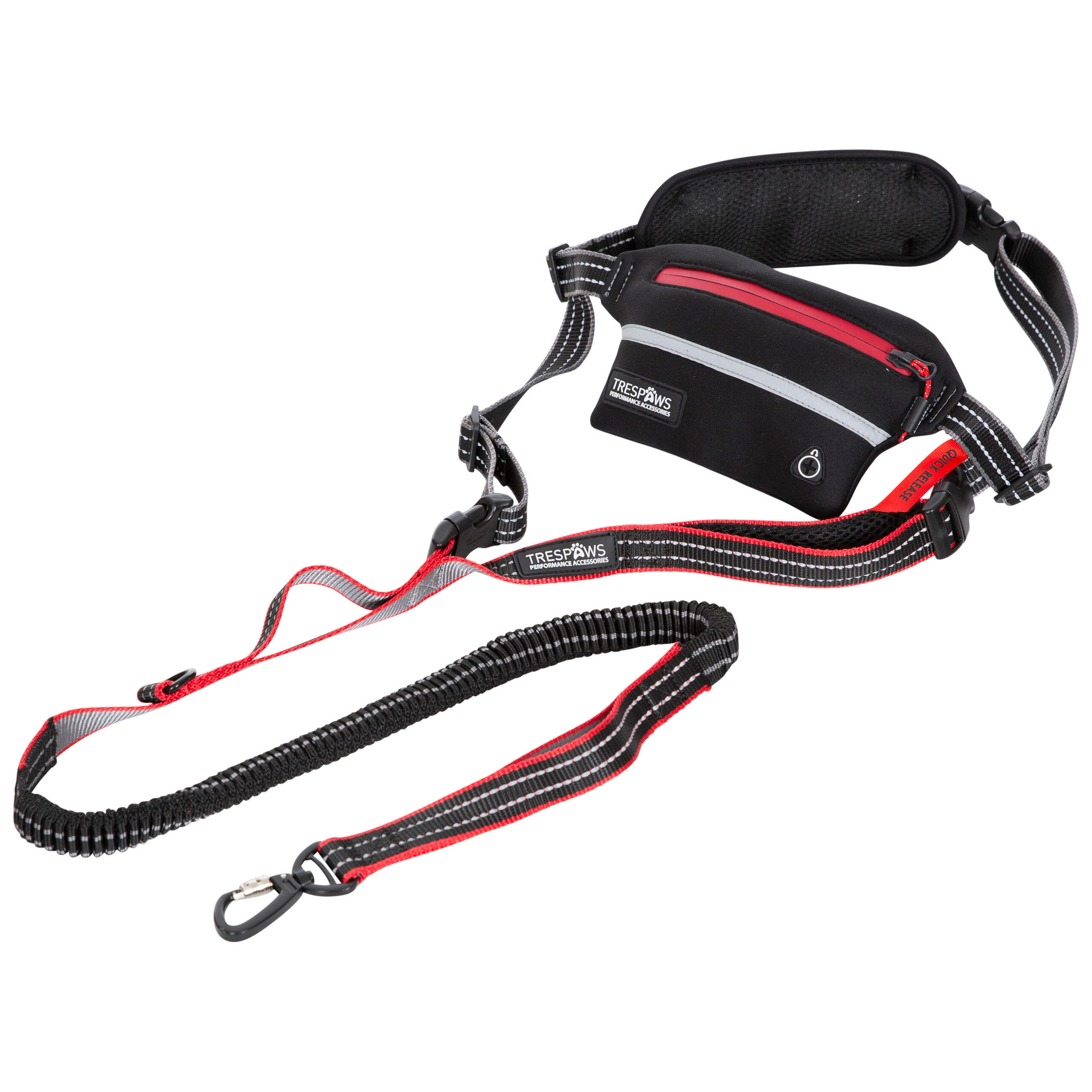 Dual Handling Dog Lead Shock Absorbing Bungee Chester 1/5