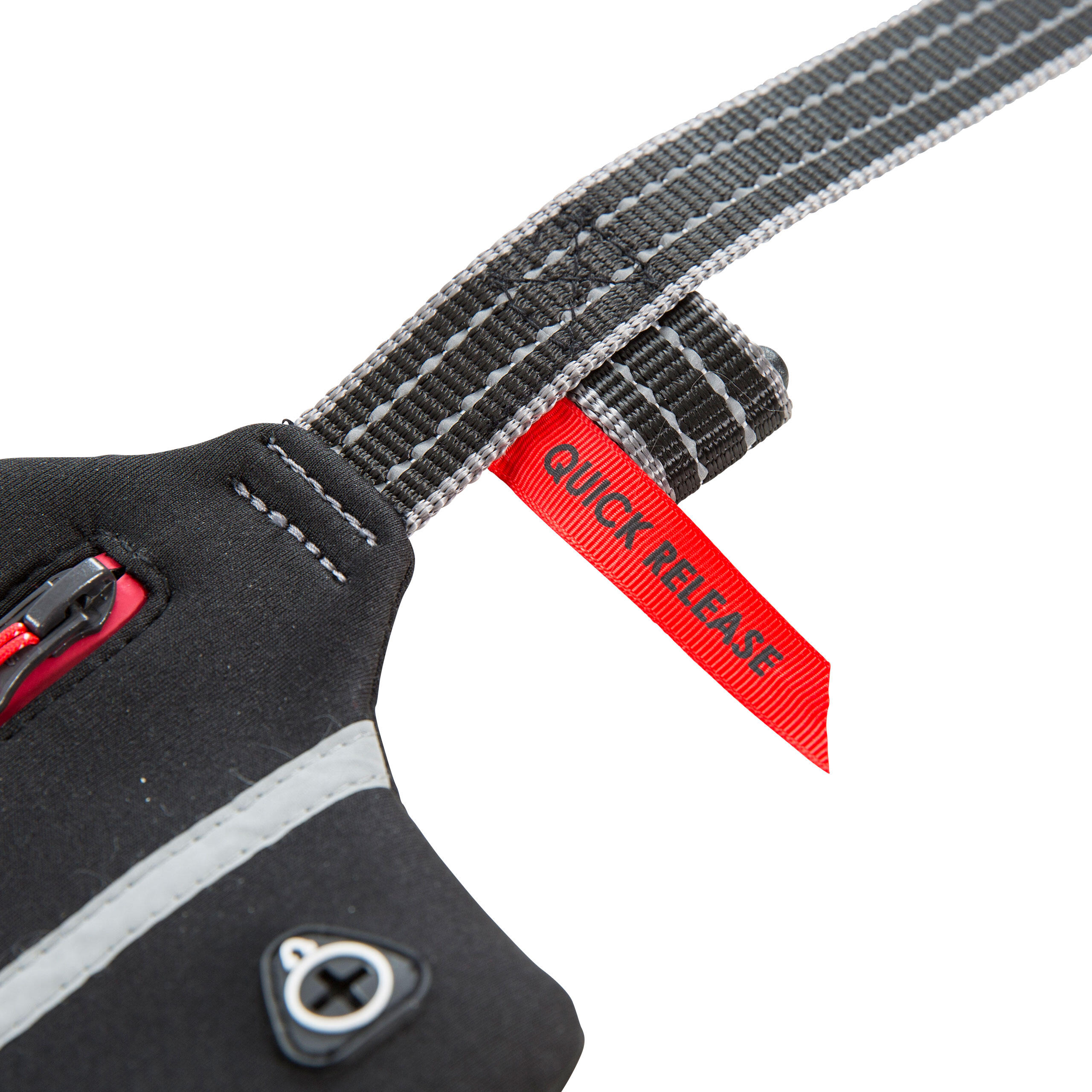 Dual Handling Dog Lead Shock Absorbing Bungee Chester 2/5
