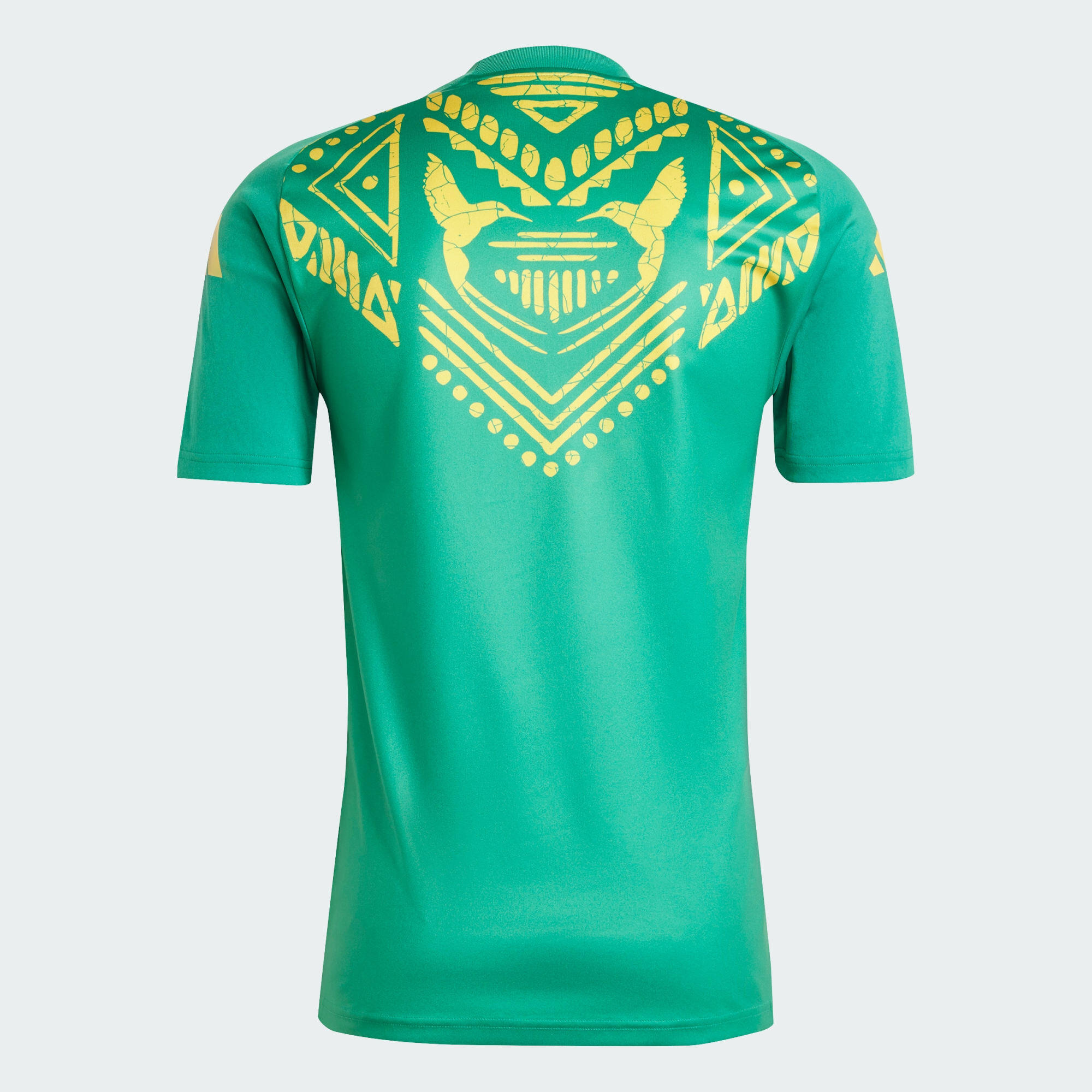 Jamaica warm-up jersey