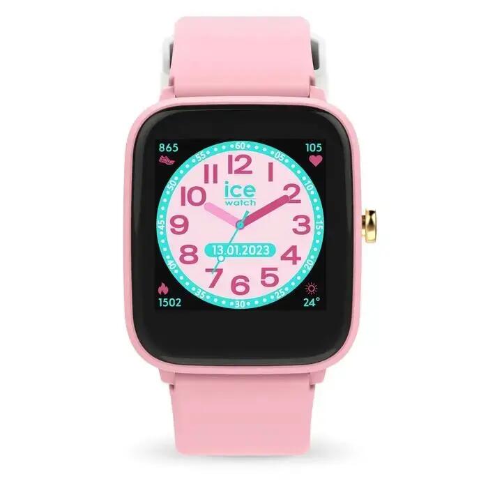 ICE WATCH picture
