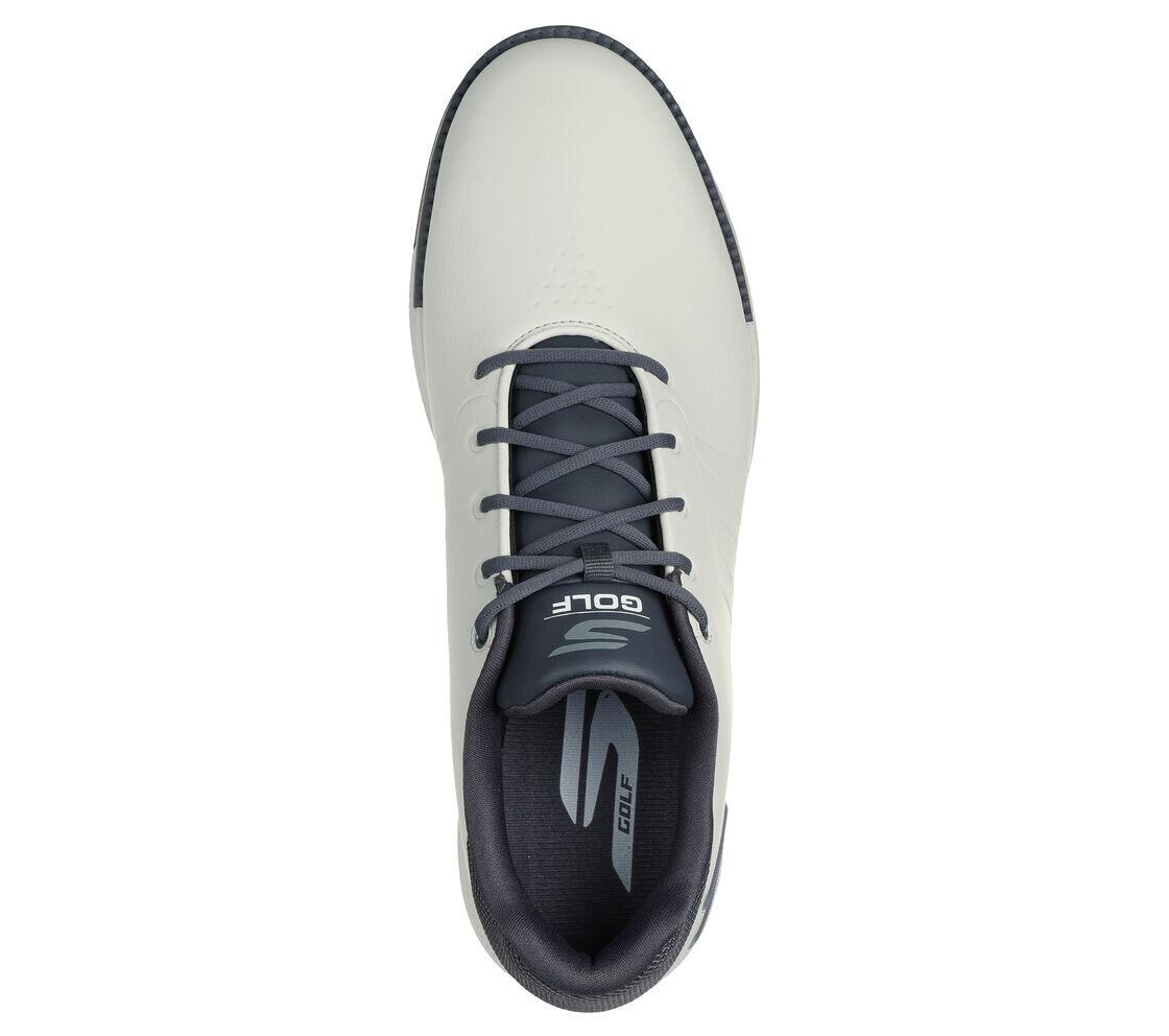 Chaussures de golf Skechers Go Golf Tempo GF pour homme, grises 4/5