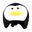 Capa capacete COOLCASC Pinguim
