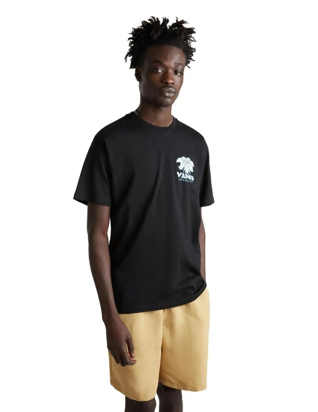 VANS picture