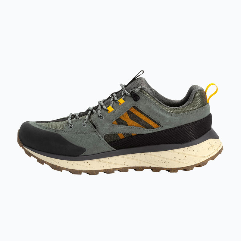 Zapatos de trekking para hombres Jack Wolfskin Terraquest Texapur Low