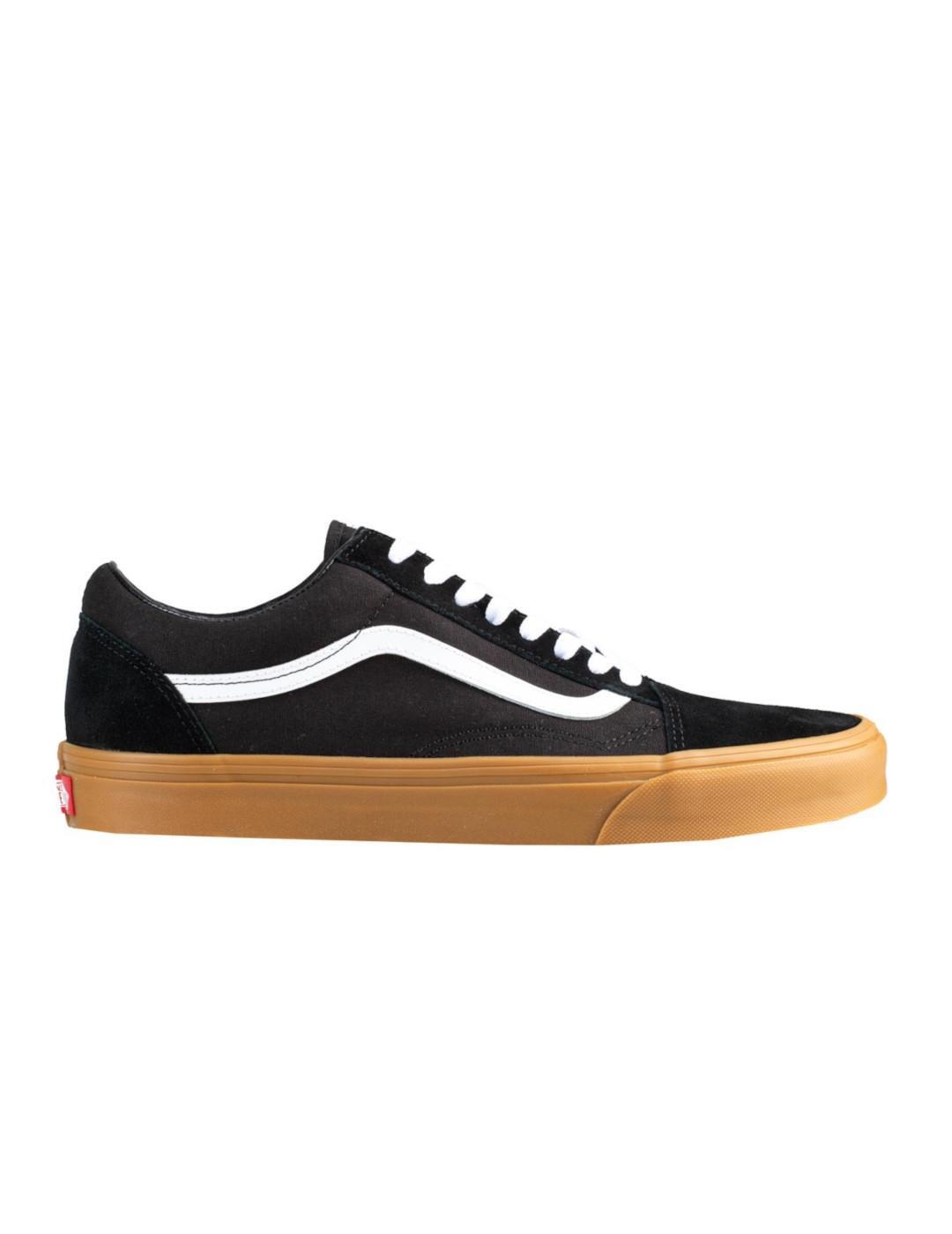 VANS picture