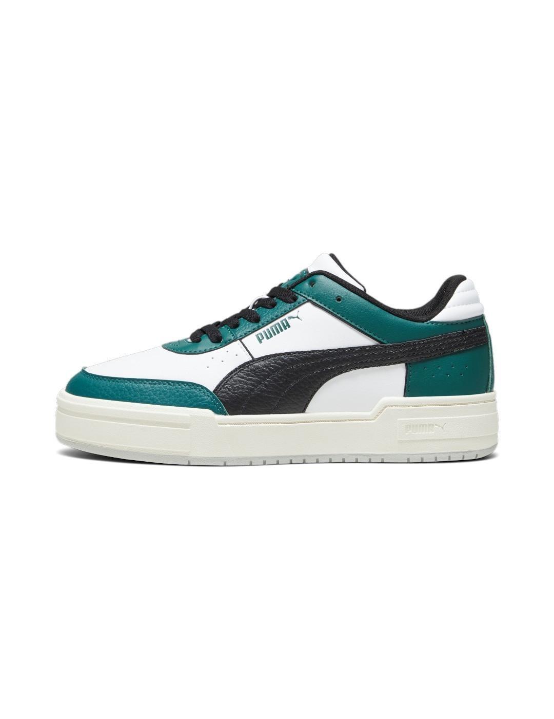 PUMA picture