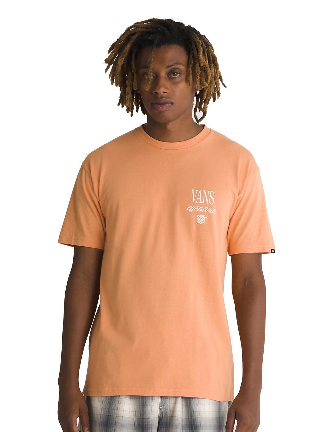 VANS picture