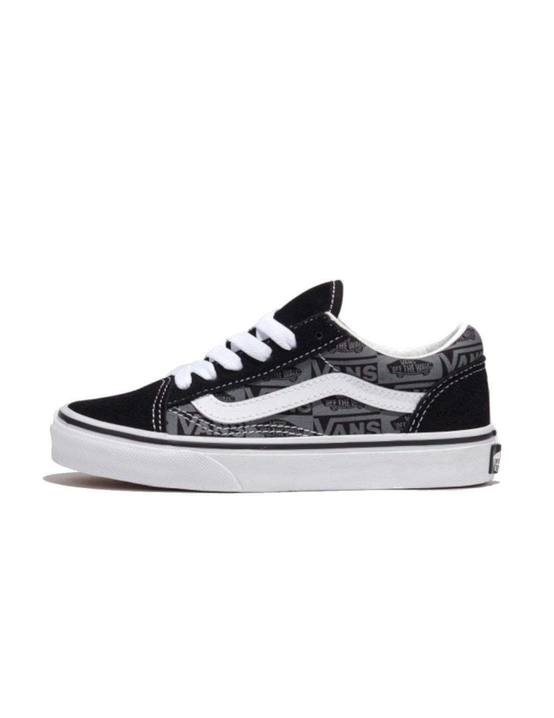 VANS picture