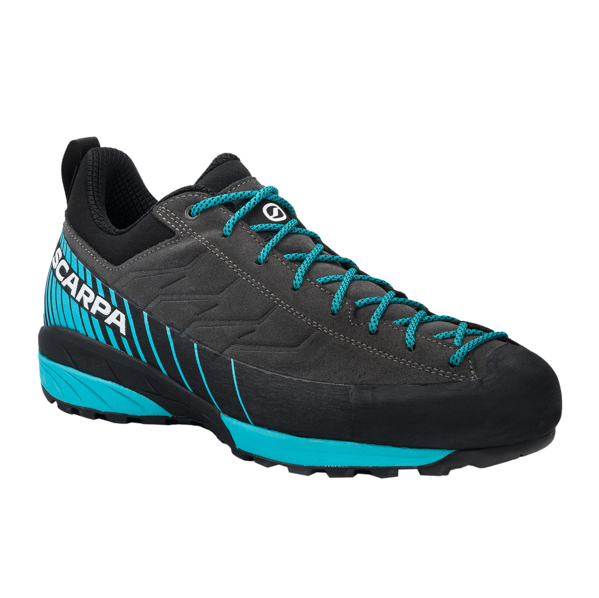 SCARPA picture
