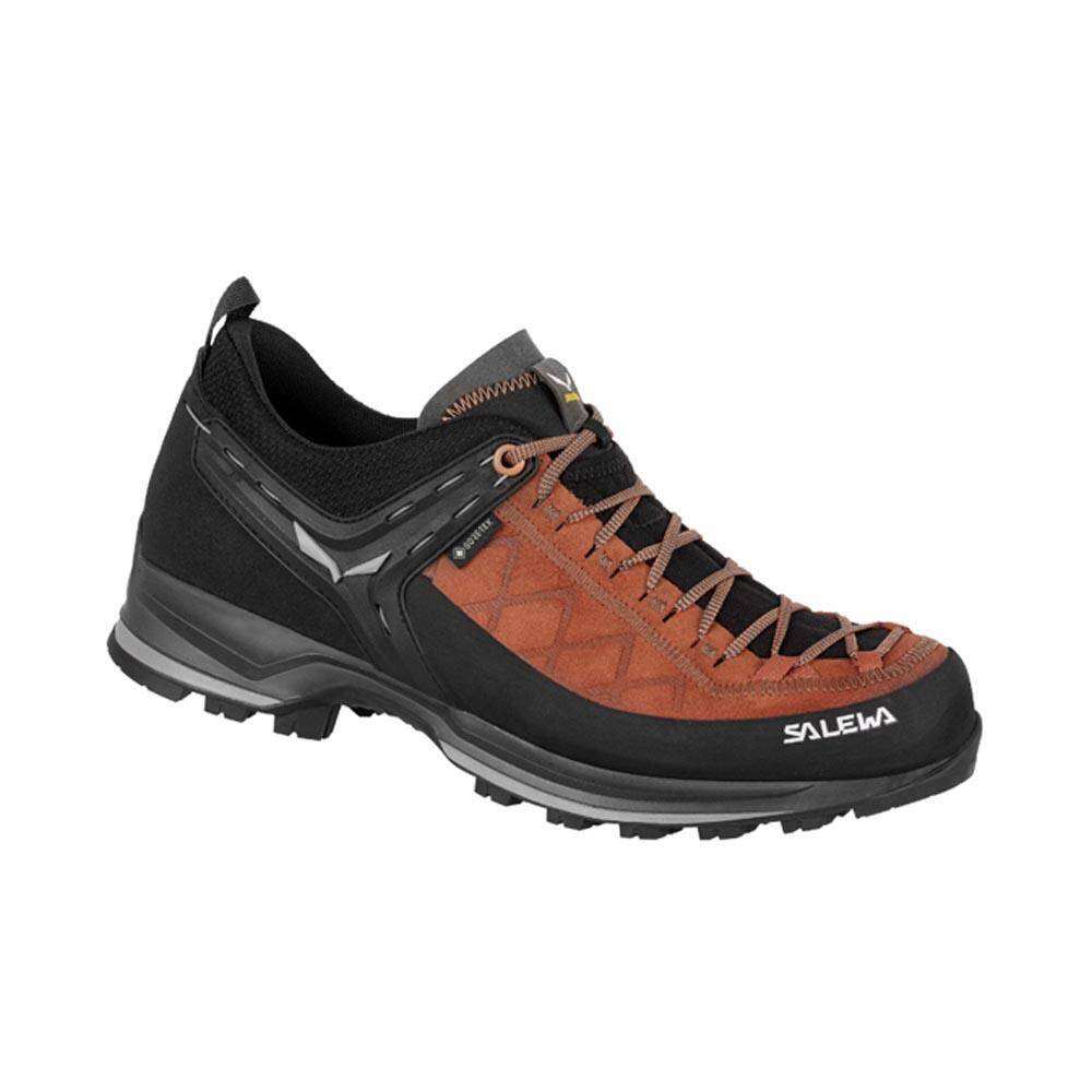 Salewa Mountain Trainer 2 GTX Trekking & Hiking Shoes Brown Autumnal/Black -  1