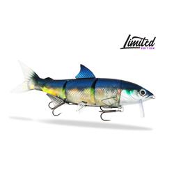 Leurre souple - Renky One 25cm - Pure Silver