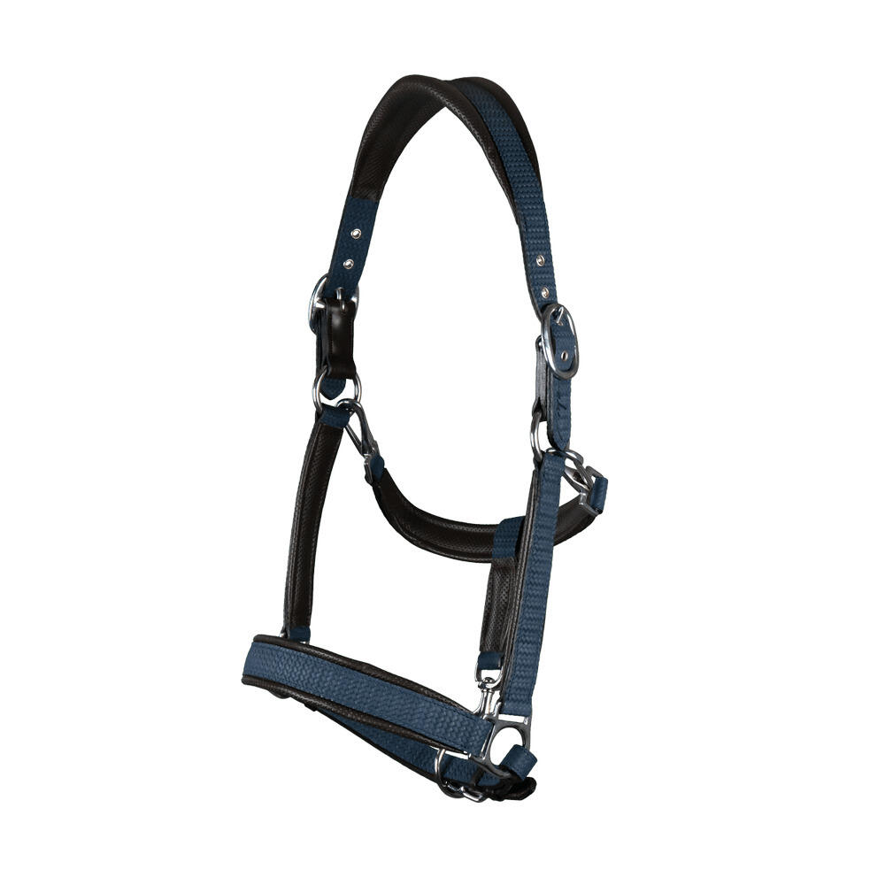 Dy'on Nubuck horse halter