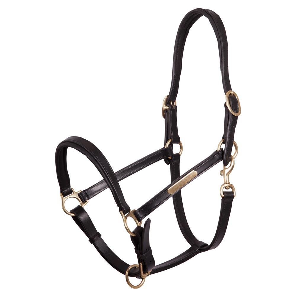 Leather halter Premiere Equitation