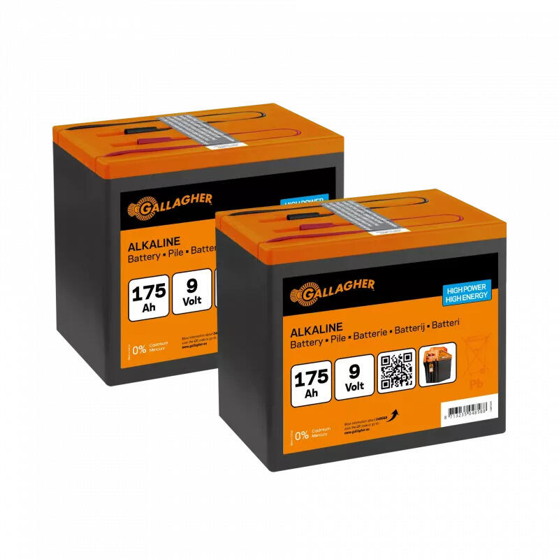 Batteria Gallagher (x2) 2/2